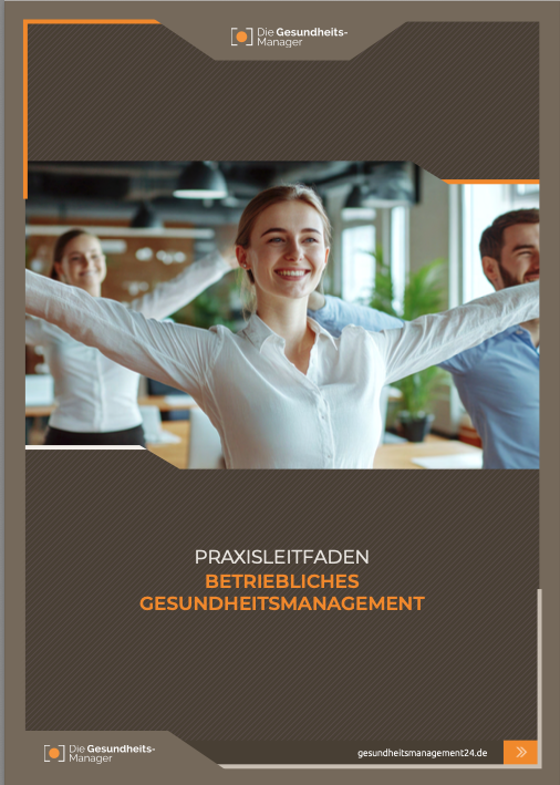 Betriebliches Gesundheitsmanagement-Praxisleitfaden-Screen
